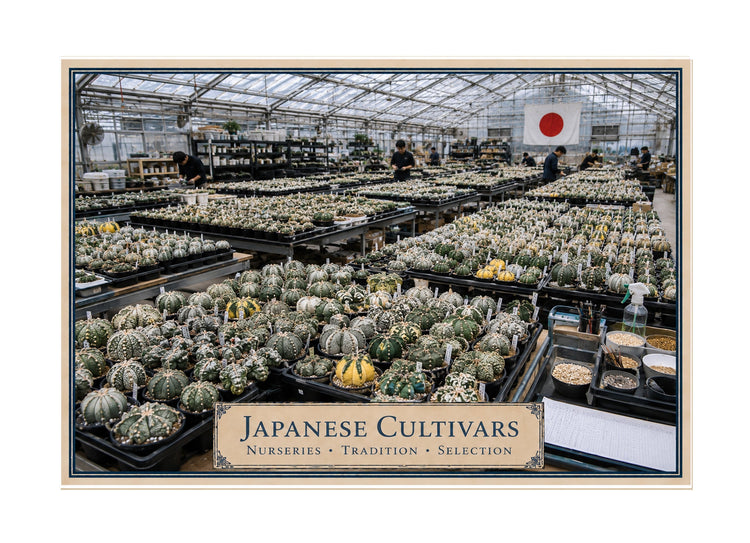 Japan