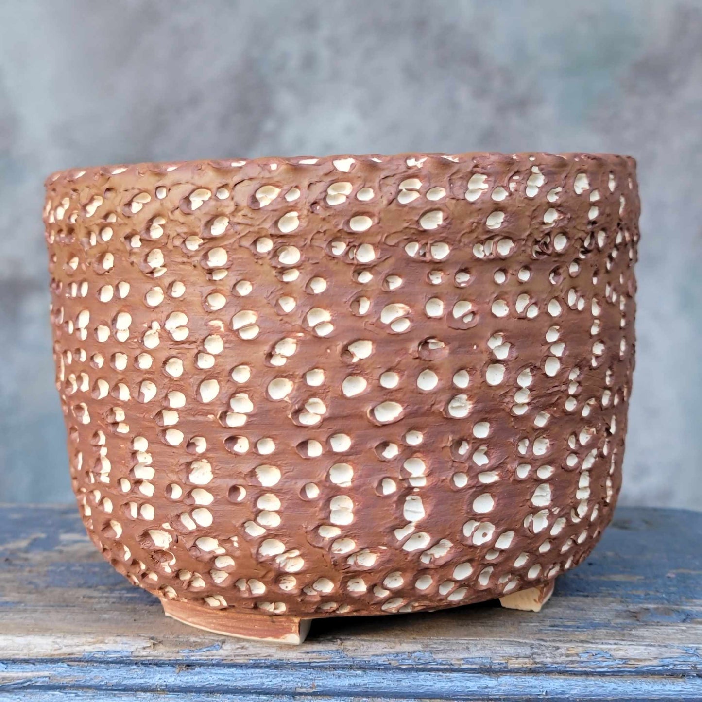 Peety Pots by Pablo Handmade Pottery image 0