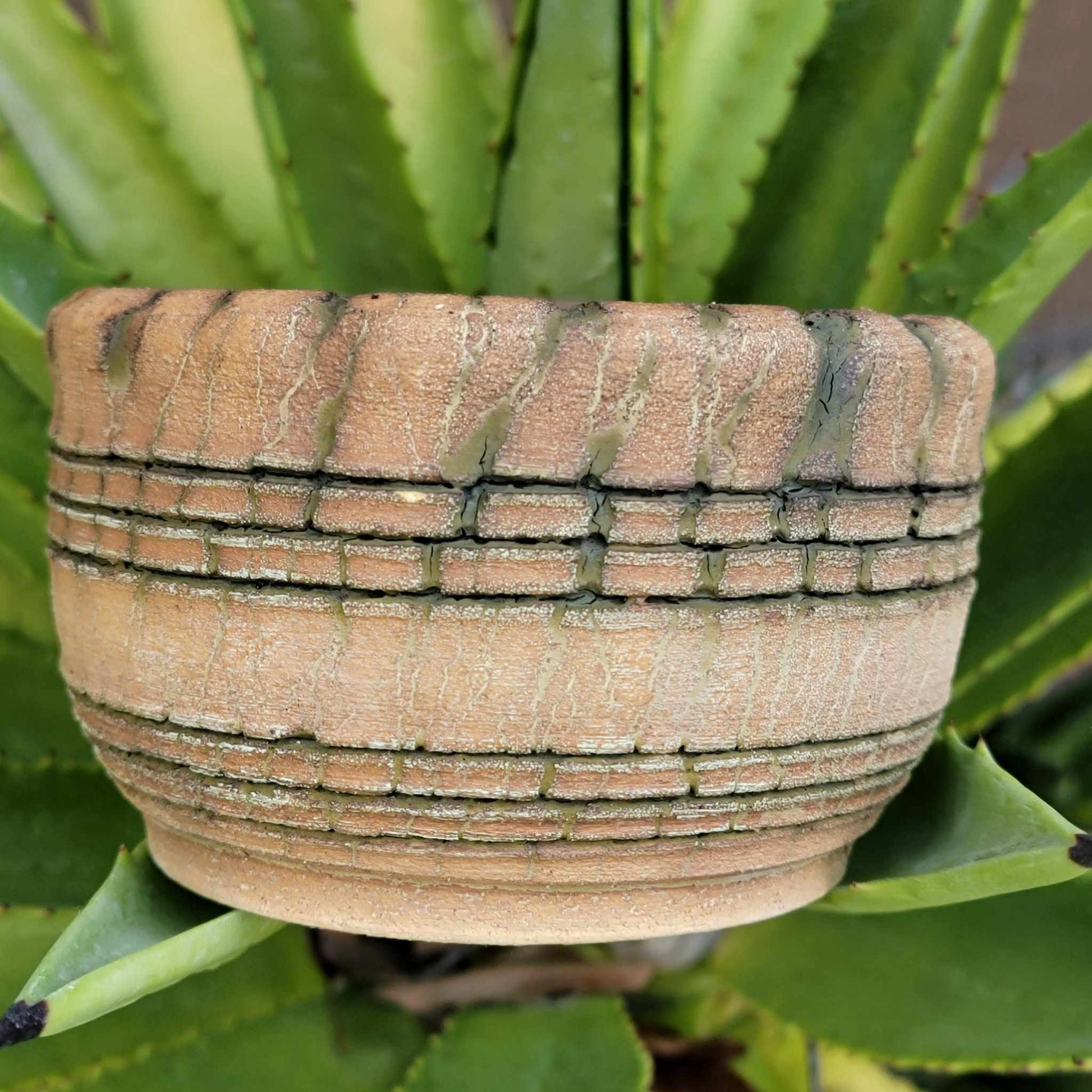 Peety Pots by Pablo Handmade Pottery image 0