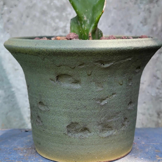 Peety Pots by Pablo Handmade Pottery image 0