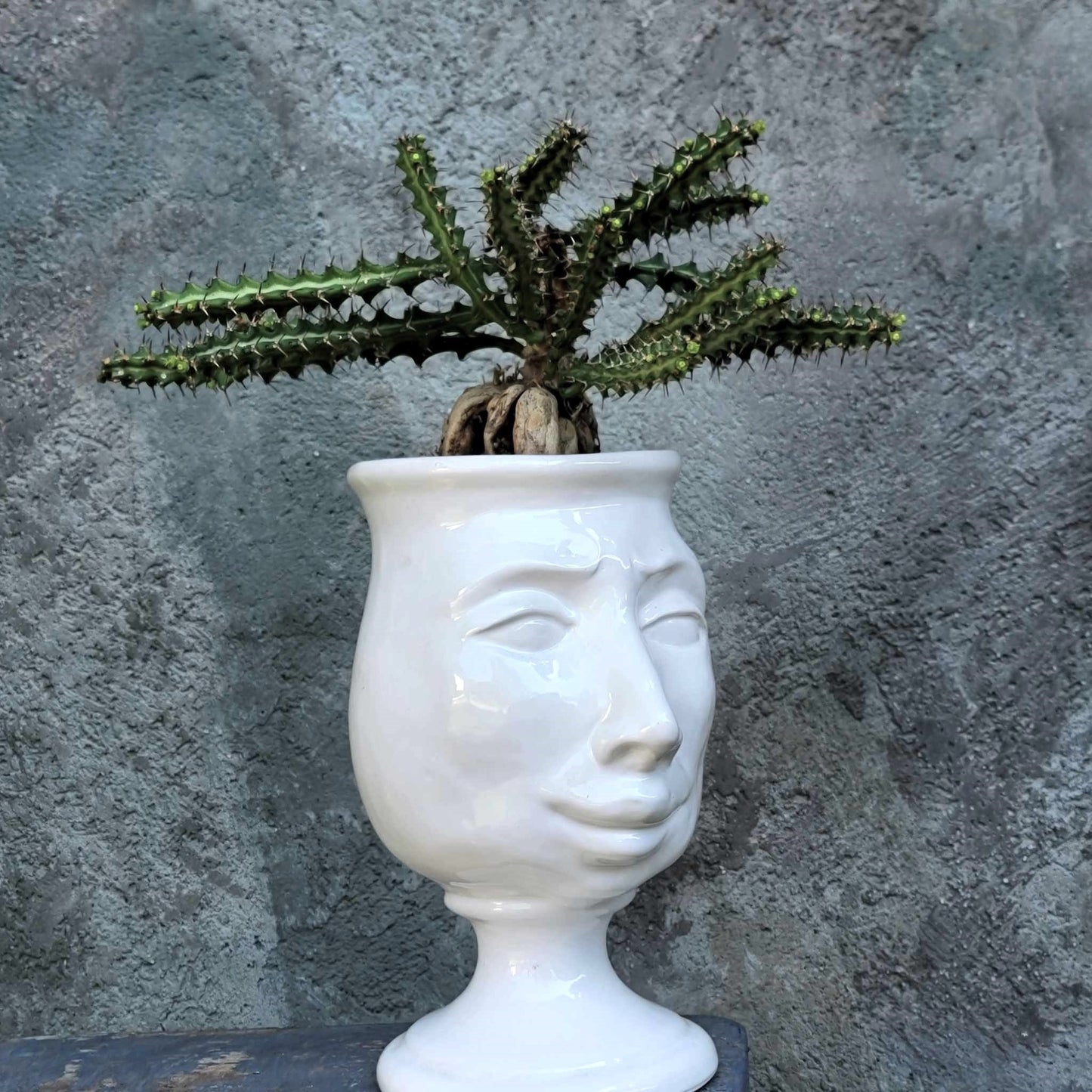Moor's Head Caltagirone Ceramic Vase - New Age Line - Donna