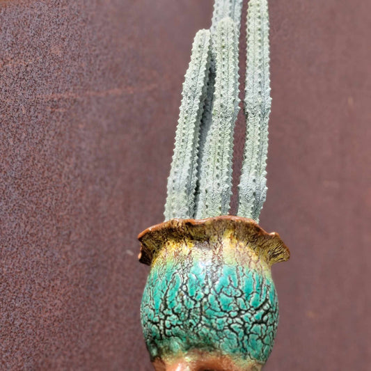 Terra Cotta Planter