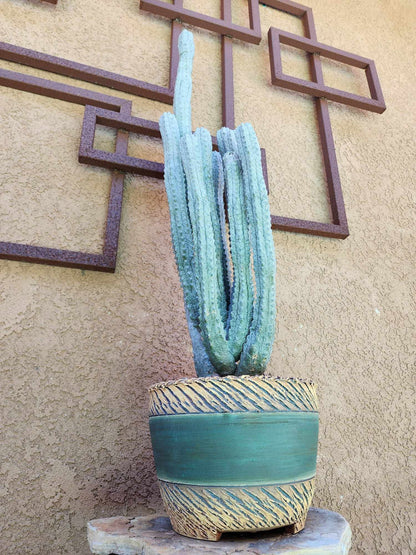 Euphorbia abdelkuri - HUGE! - 9 Arms! 33" Tall! Collector Specimen
