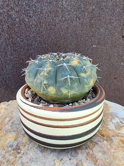 Handmade Pottery – Mesa Line Bowl No. 172