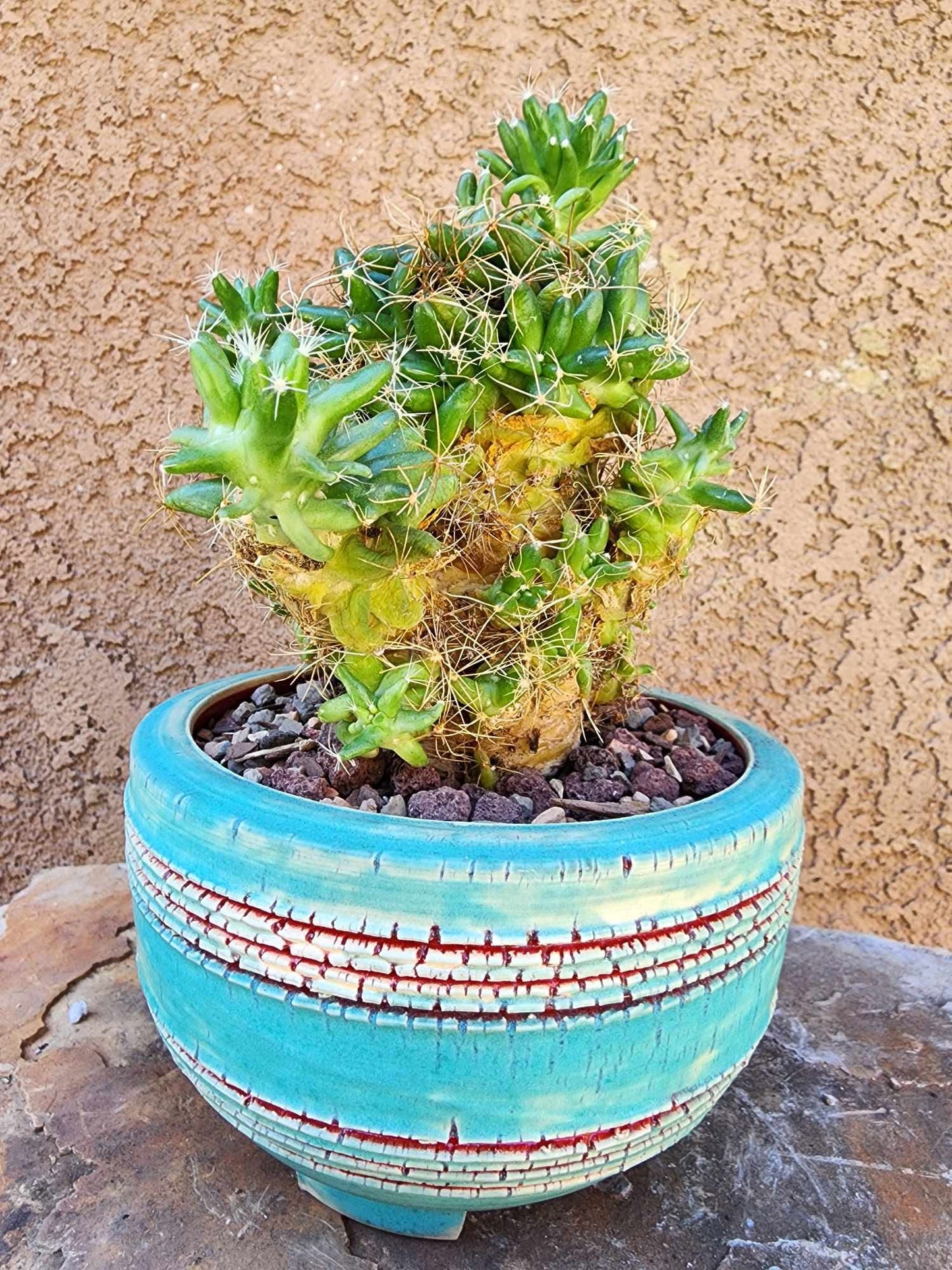 Handmade Pottery - Bloodline No. 215