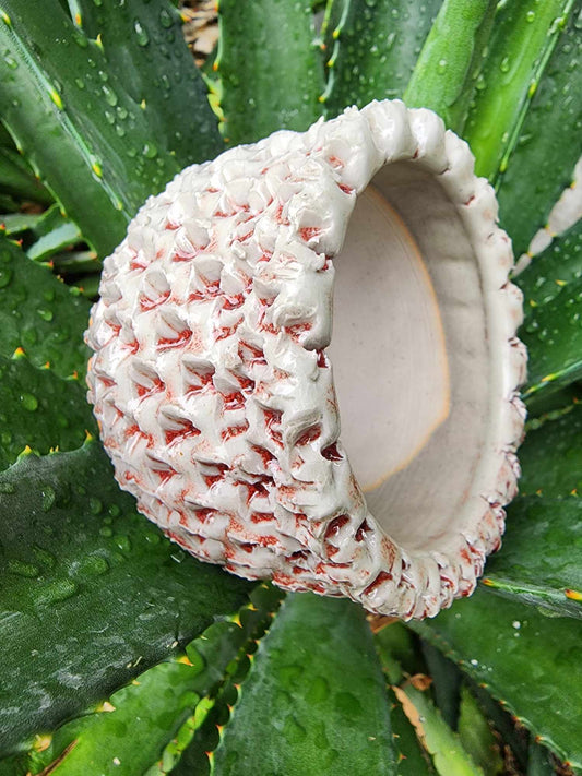 Handmade Pottery - Bone Reef No. 154