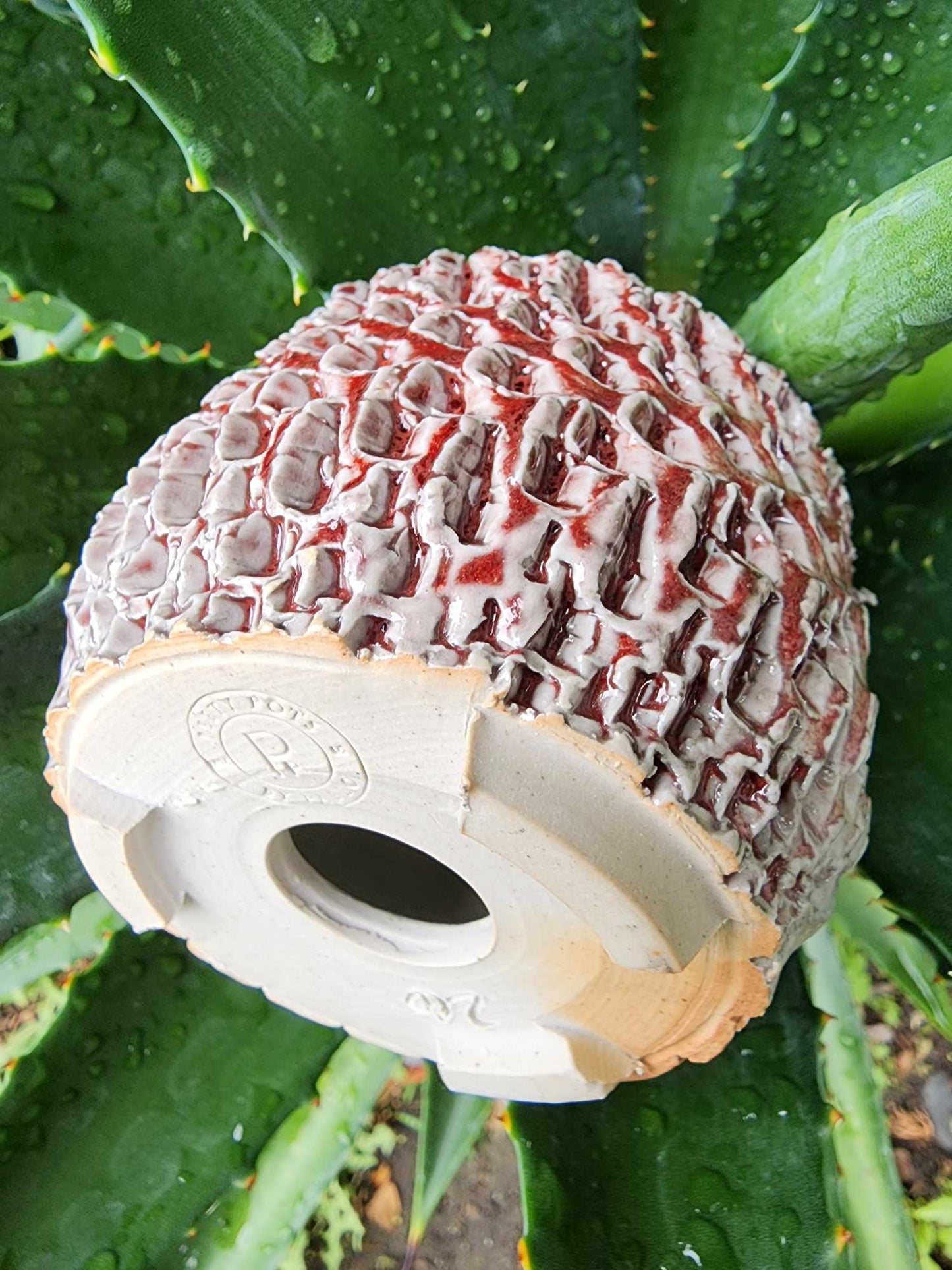 Handmade Pottery - Bone Reef No. 154