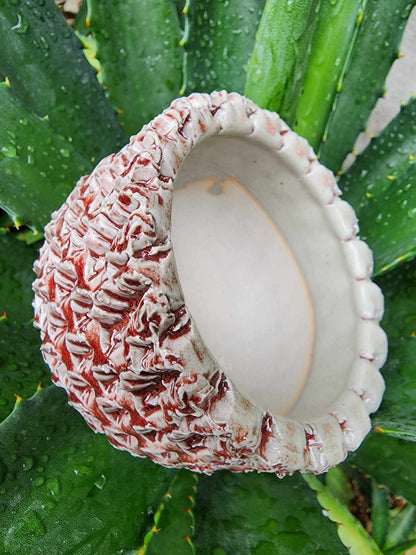 Handmade Pottery - Bone Reef No. 154