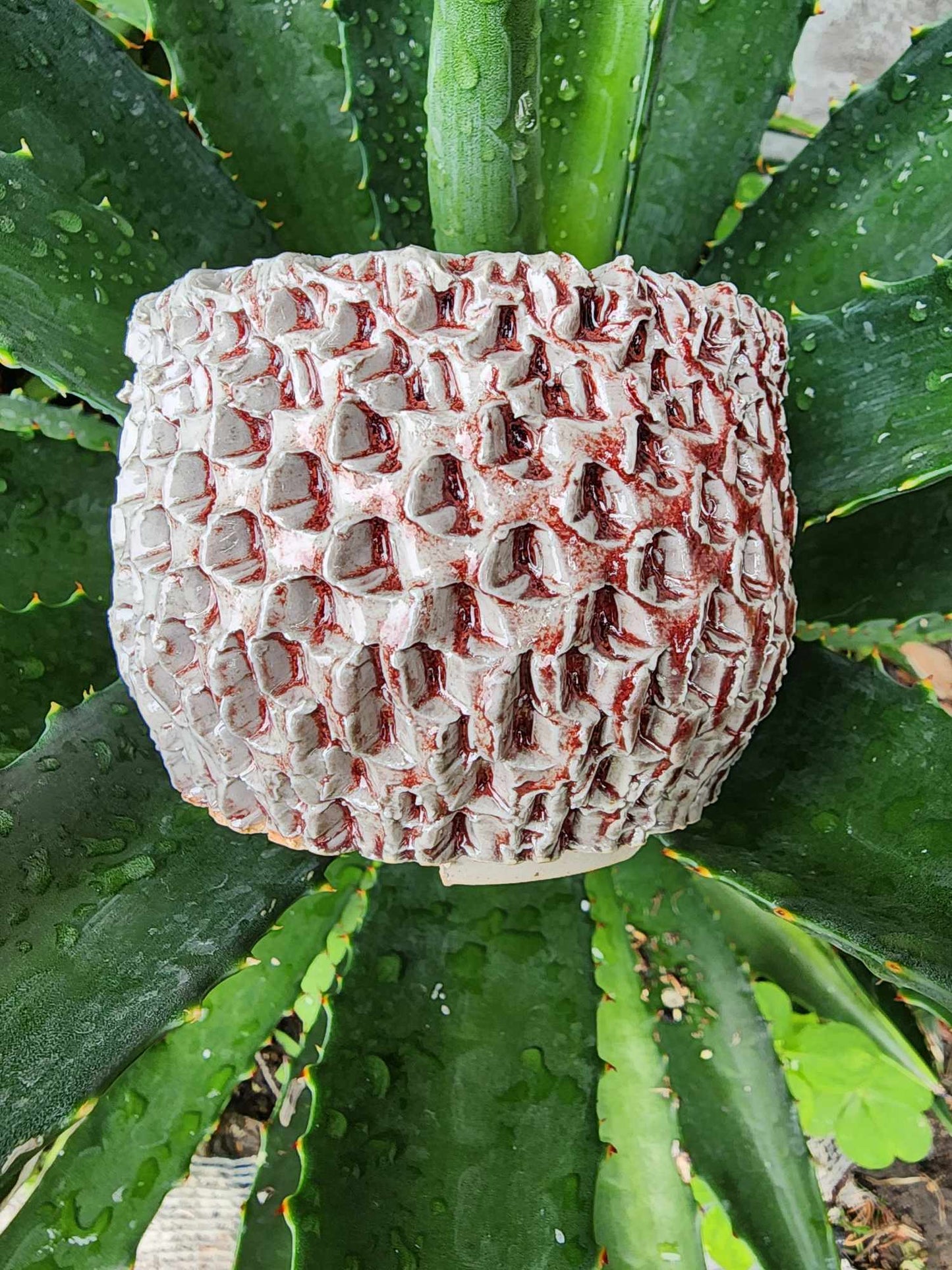 Handmade Pottery - Bone Reef No. 154