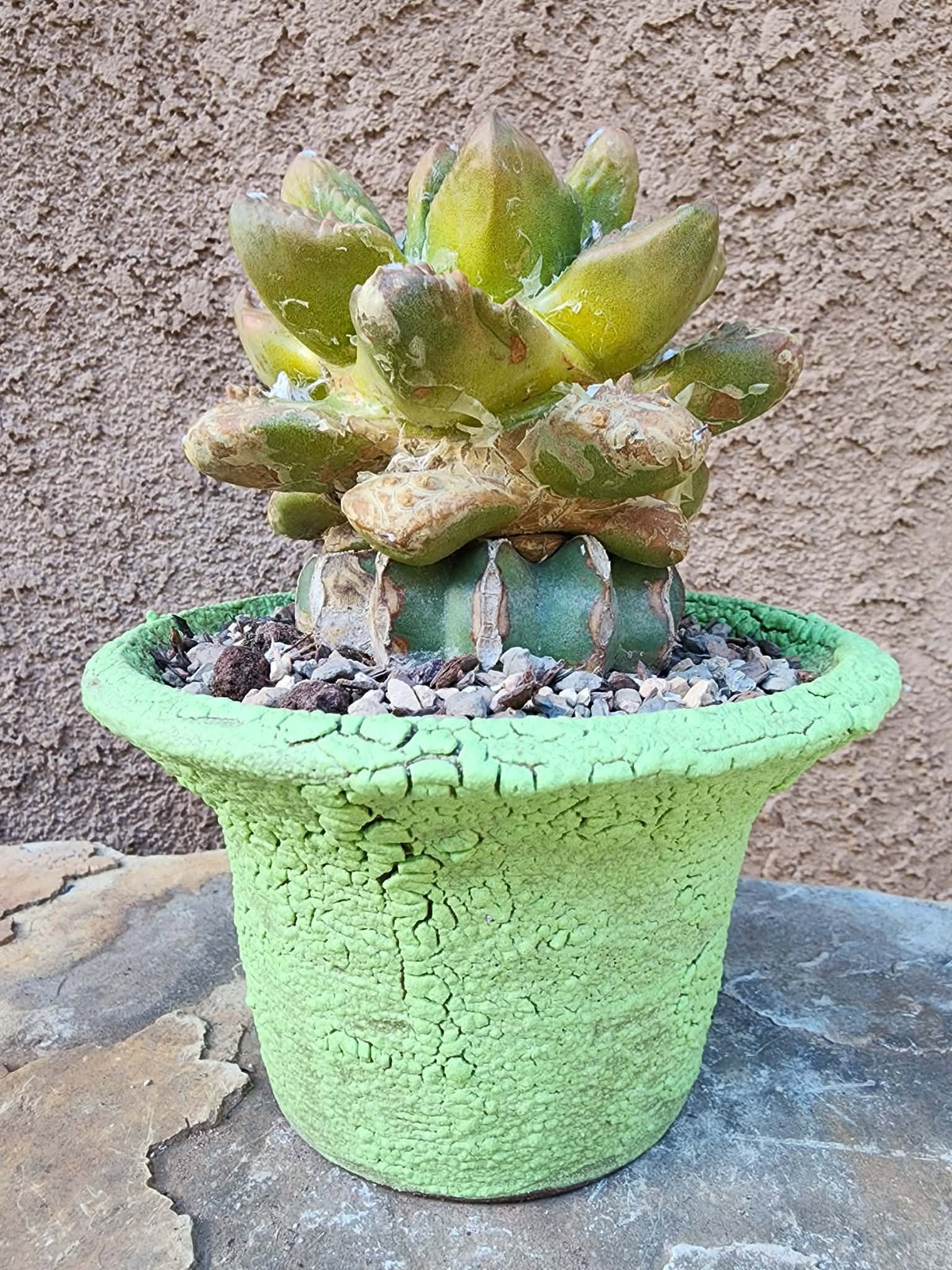 Handmade Pottery - Desert Lime Planter No. 223