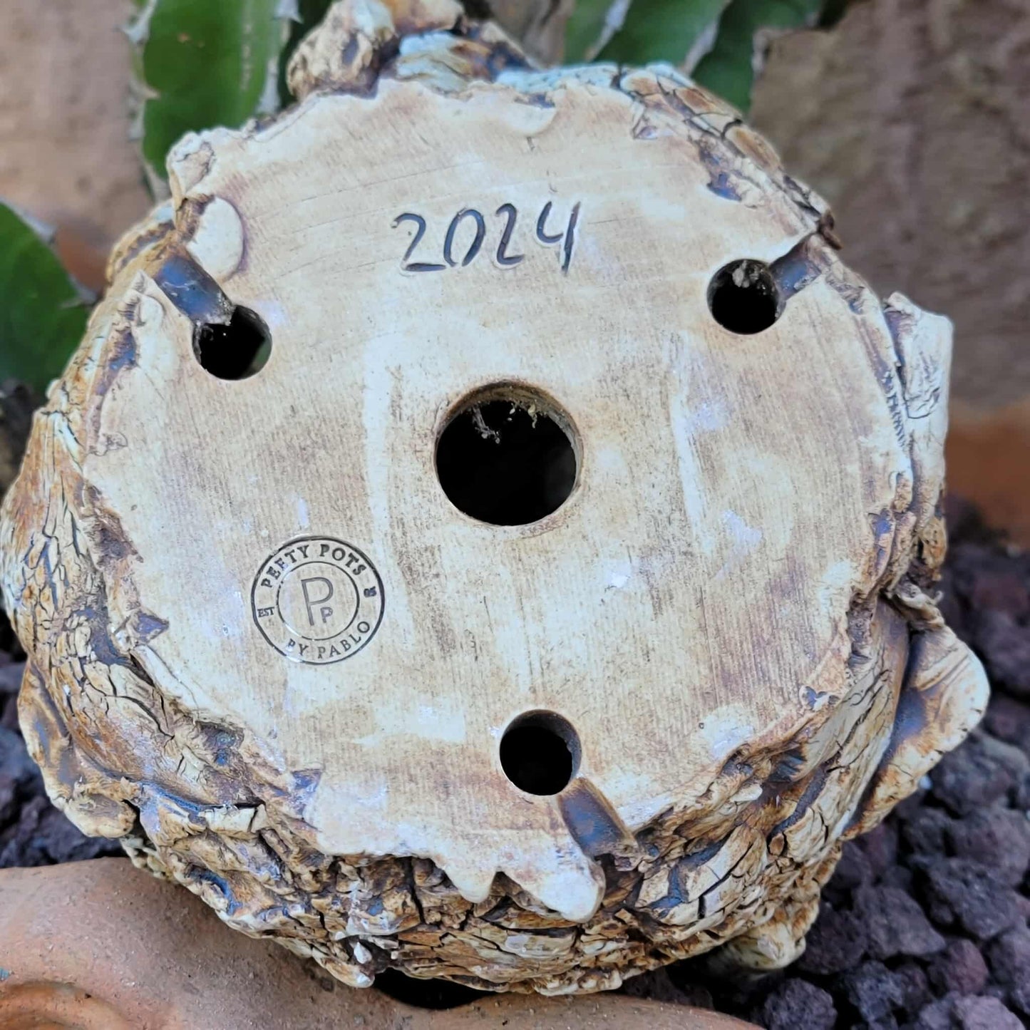 Handmade Pottery - Habitat Collection