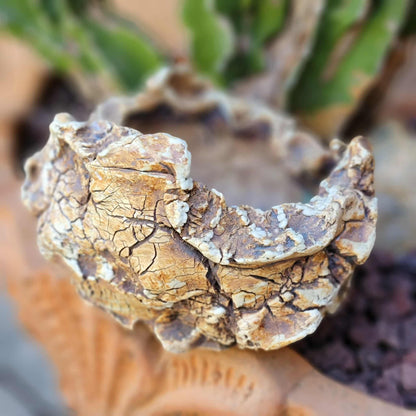 Handmade Pottery - Habitat Collection