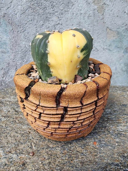 Handmade Pottery — Desert Strata Vessel No. 177