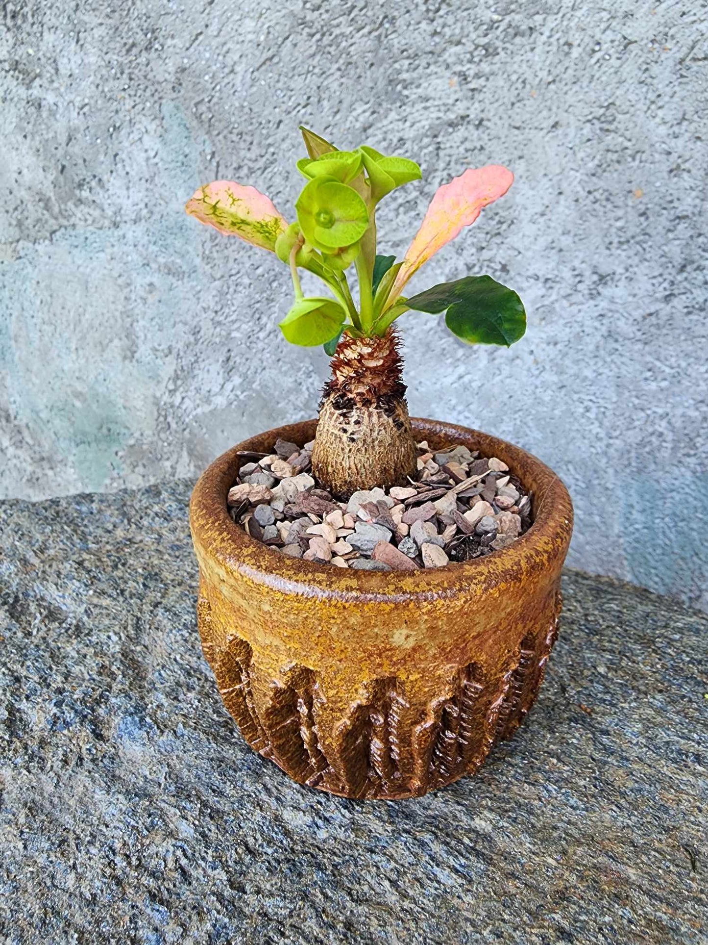 Handmade Pottery – Fossil Fern Vessel No. 170