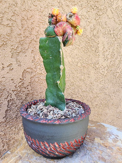 Handmade Pottery — Lava Scar Vessel No. 176