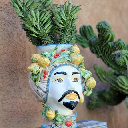 Monadenium schubei ‘Tanzania Red’ - 5 Heads