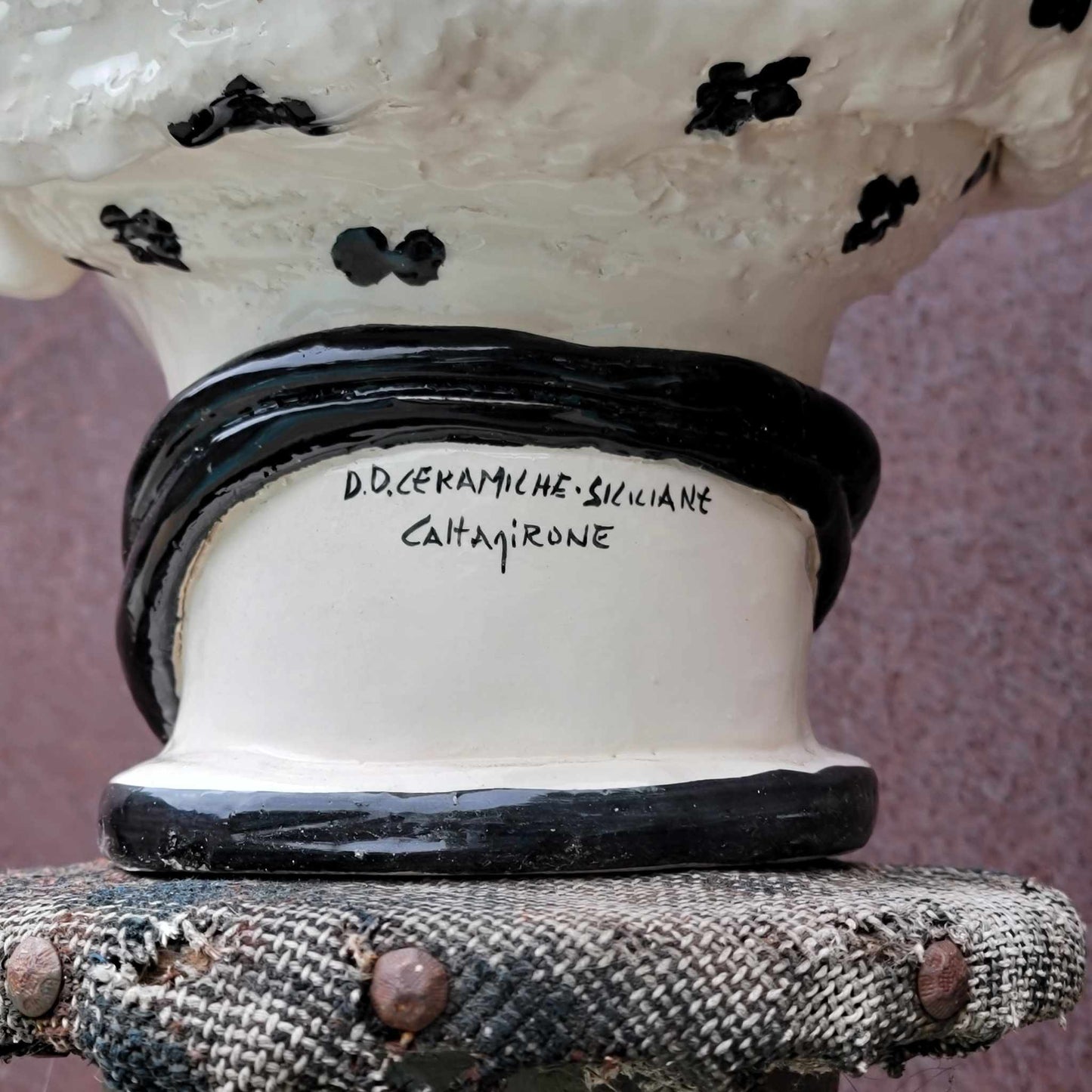 Moor's Head Atena - Queen - White with Black Polka Dots