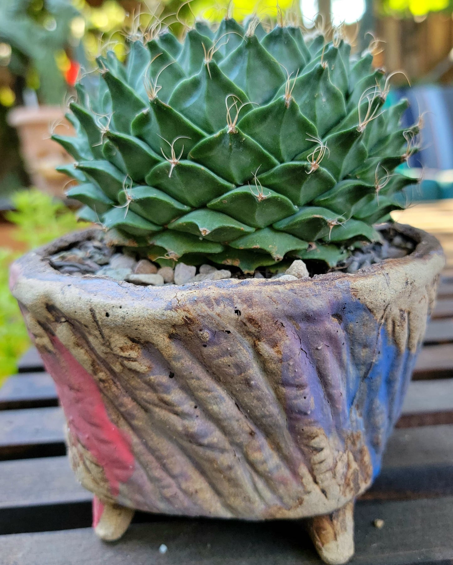 Terra Cotta Planter - Watercolor Series - Blue & Rose