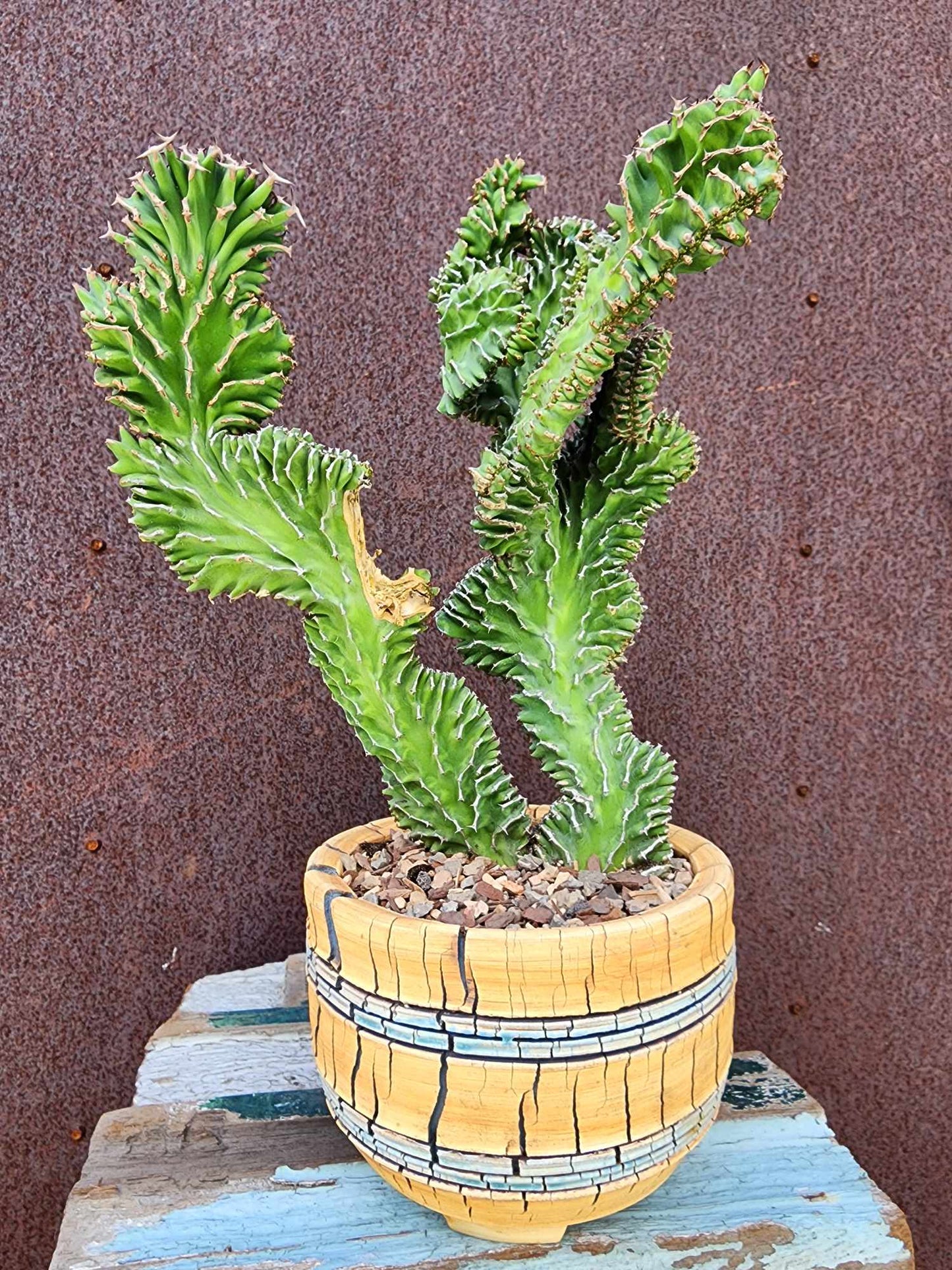 Handmade Pottery  -  Sun Crack Vessel No. 11