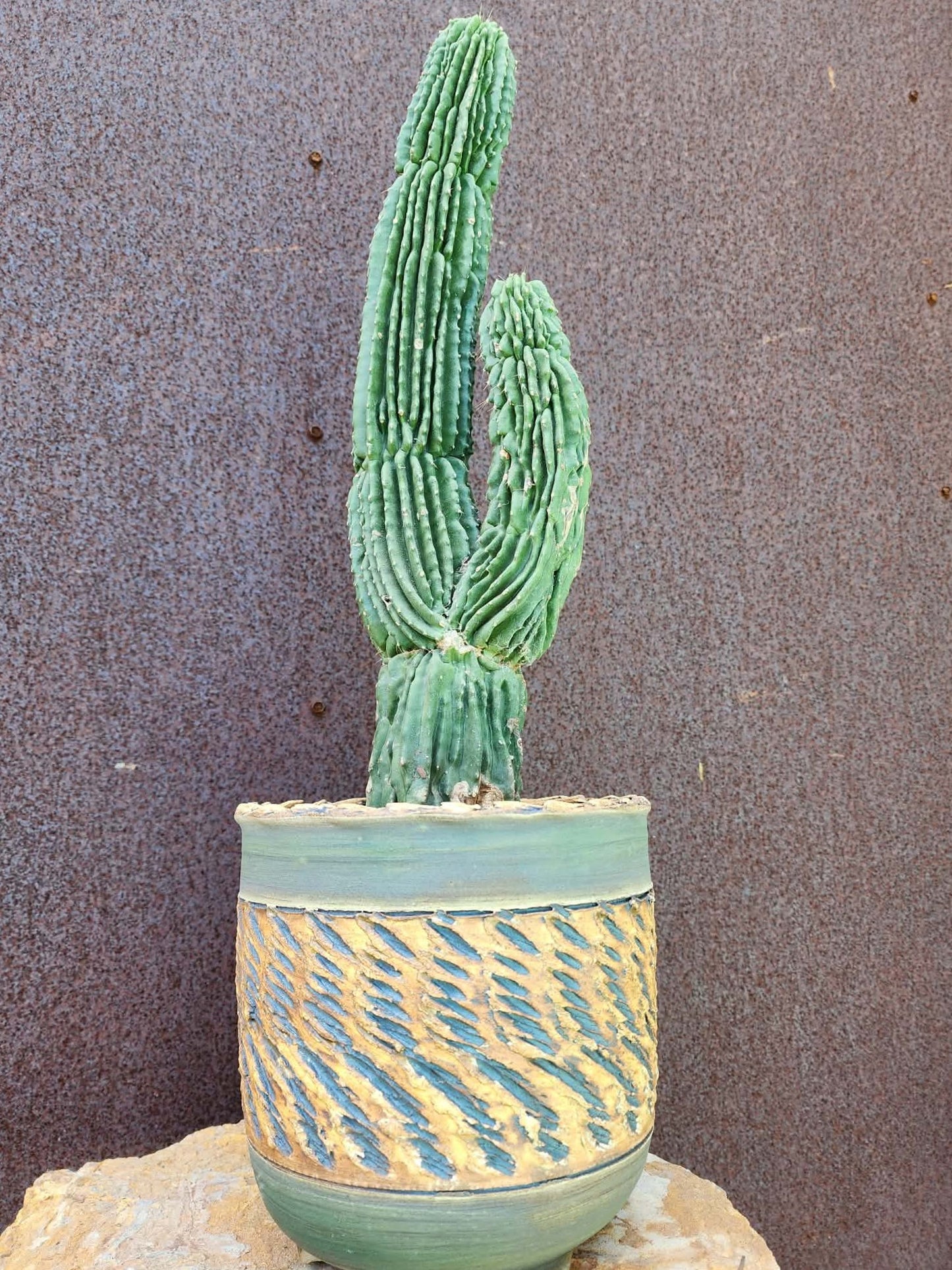 Handmade Pottery  -  Desert Current Planter No. 20