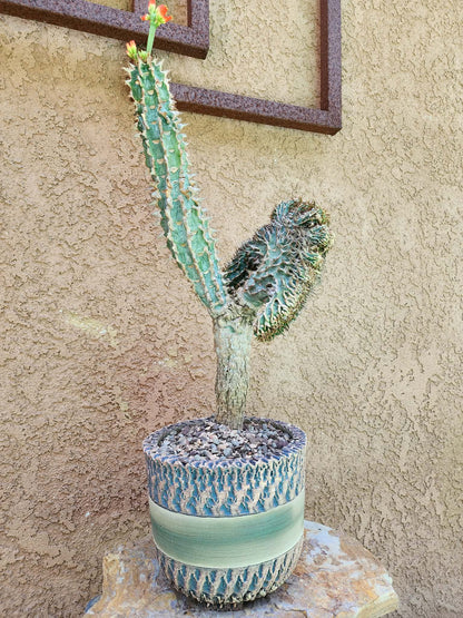 Handmade Pottery