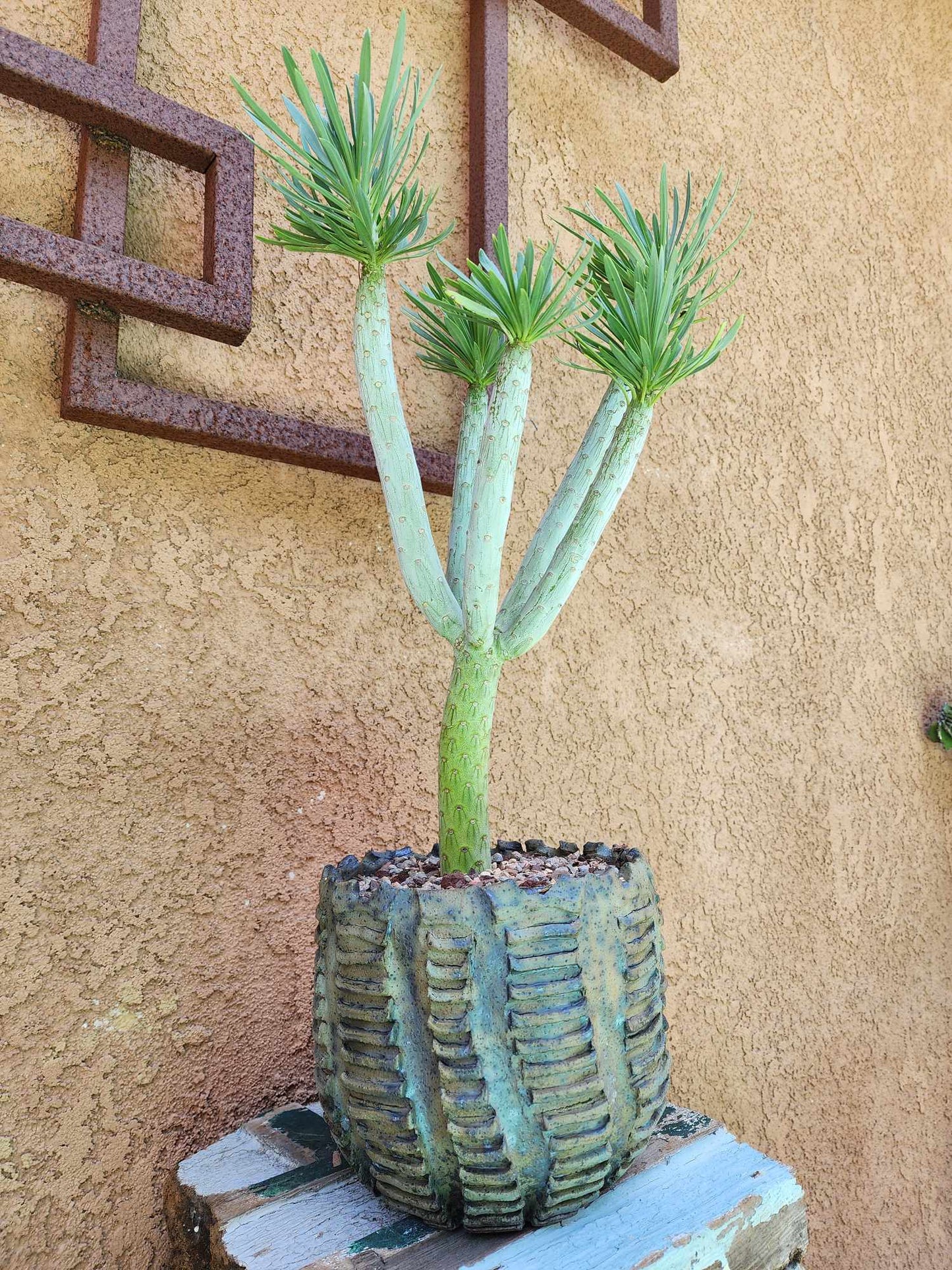 Handmade Pottery  -  Monument Vessel No. 7