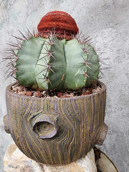 Handmade Pottery  -  Oracle Vessel No. 9