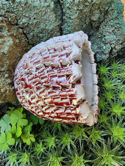 Handmade Pottery