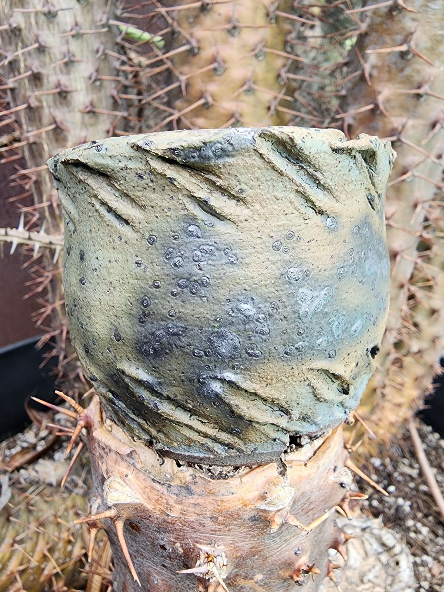 Wind Carved Vessel No. 4 handmade ceramic planter
