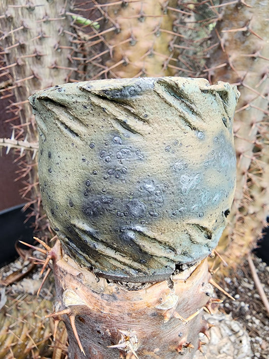 Wind Carved Vessel No. 4 handmade ceramic planter