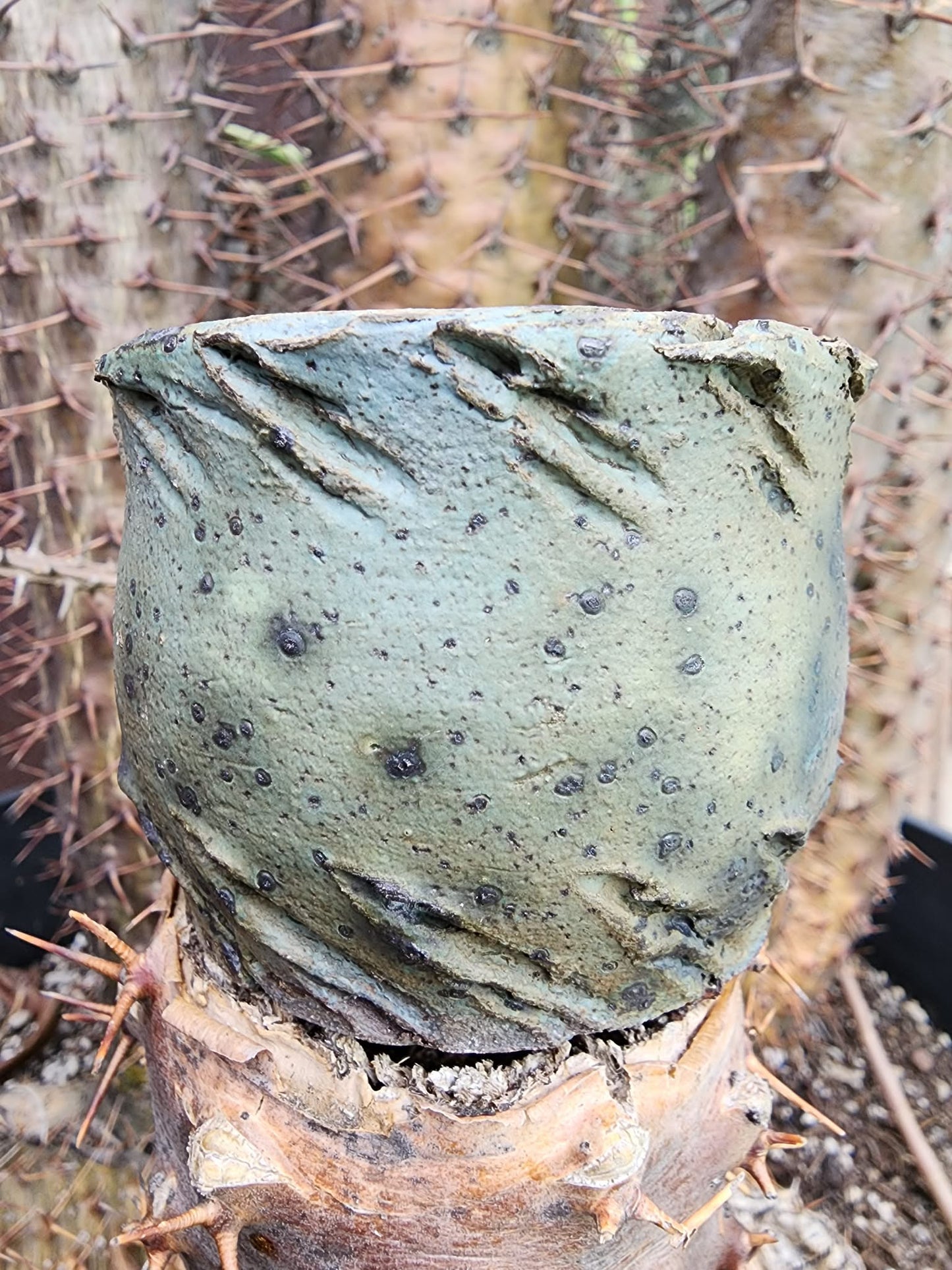 Handmade Pottery  -  Wind Carved Vessel No. 4