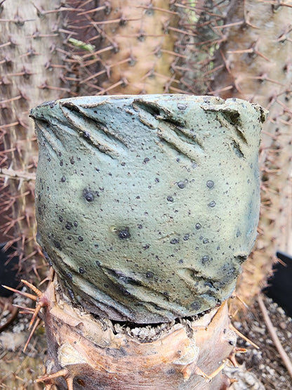 Handmade Pottery  -  Wind Carved Vessel No. 4