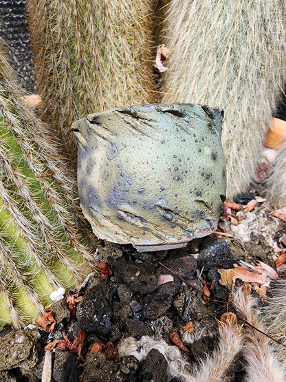 Handmade Pottery  -  Wind Carved Vessel No. 4