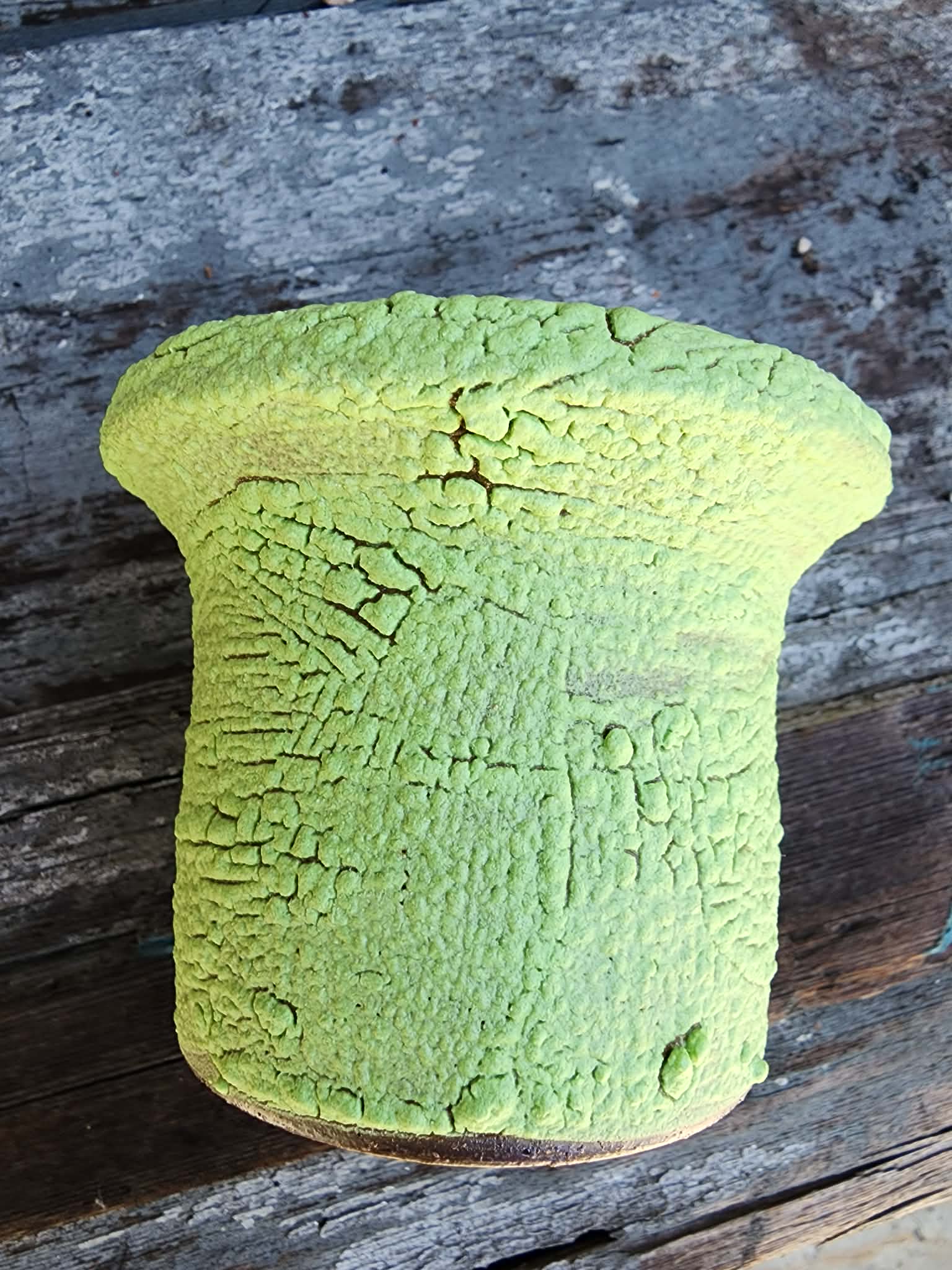 Moss Crater Form No. 32 handmade ceramic planter
