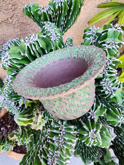 Handmade Pottery