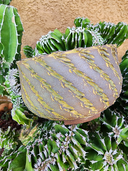 Sage Drift Bowl No. 16 handmade ceramic planter