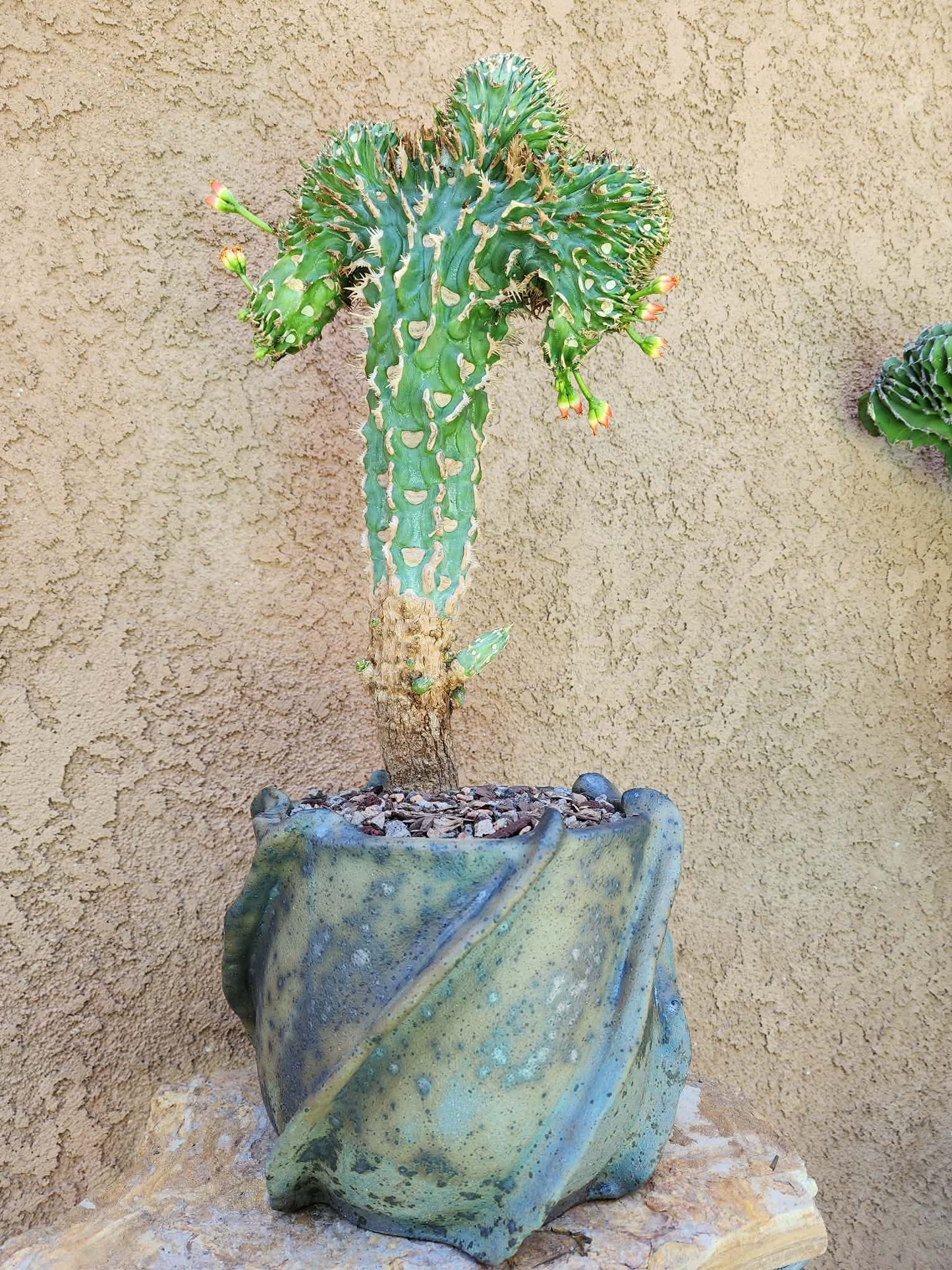 Handmade Pottery  -  Stone Fold Vessel No. 28