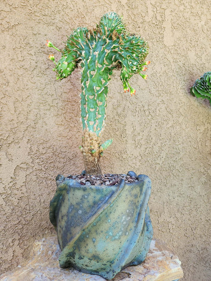 Handmade Pottery  -  Stone Fold Vessel No. 28