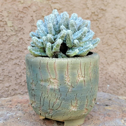 Handmade Pottery