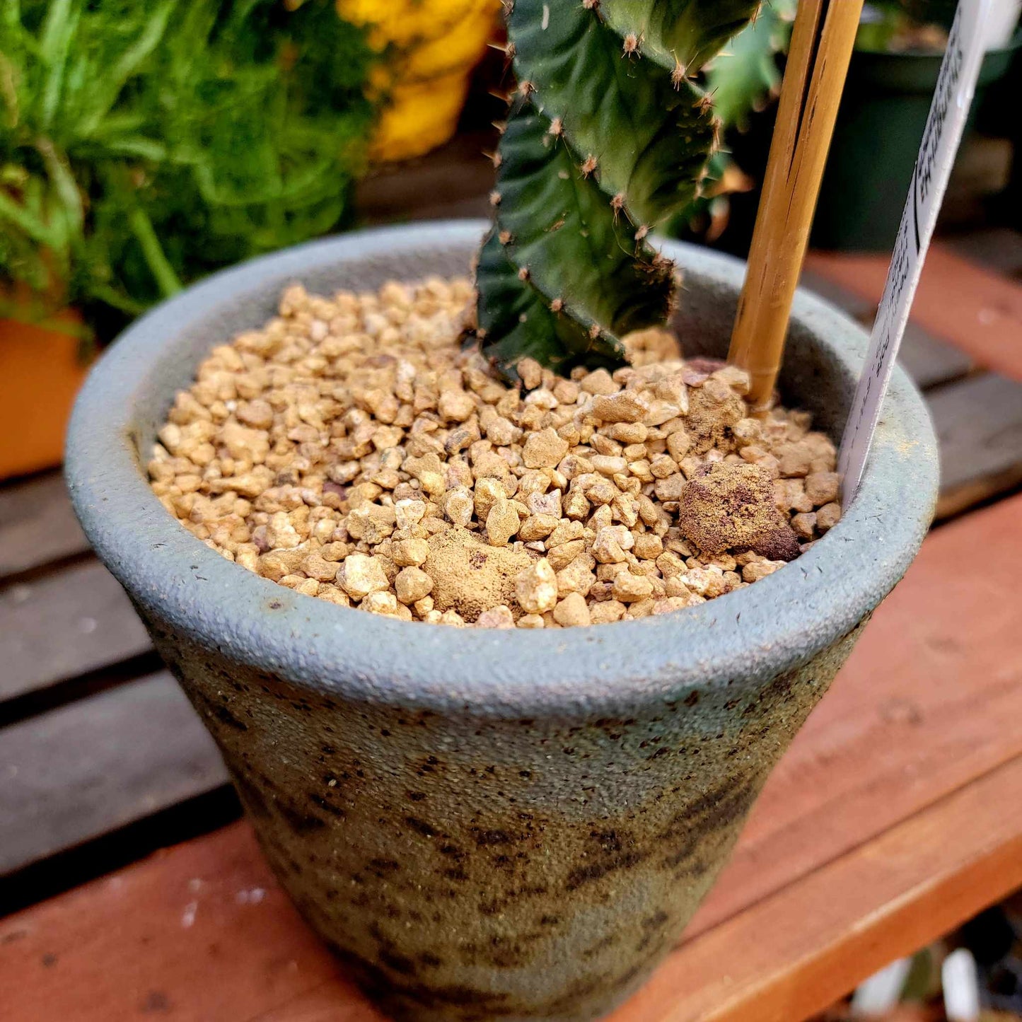 Handmade Pottery