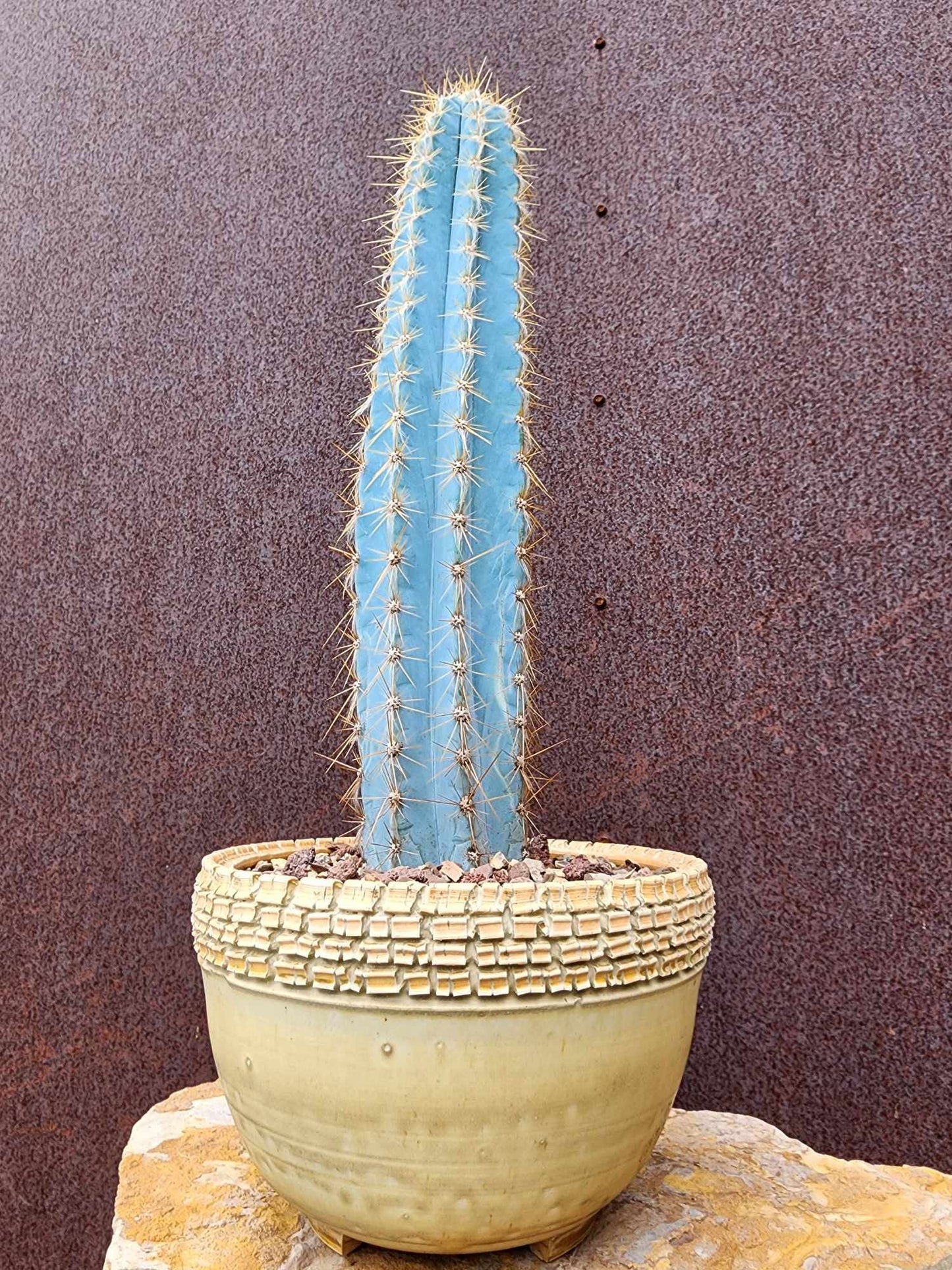 Handmade Pottery - Adobe Ledger No. 181