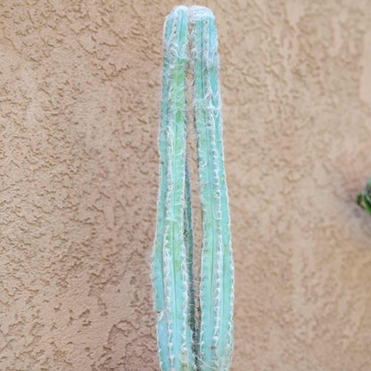Pilosocereus Pachycladus - Blue Columnar Cactus - 3 Arms - 18" Tall!