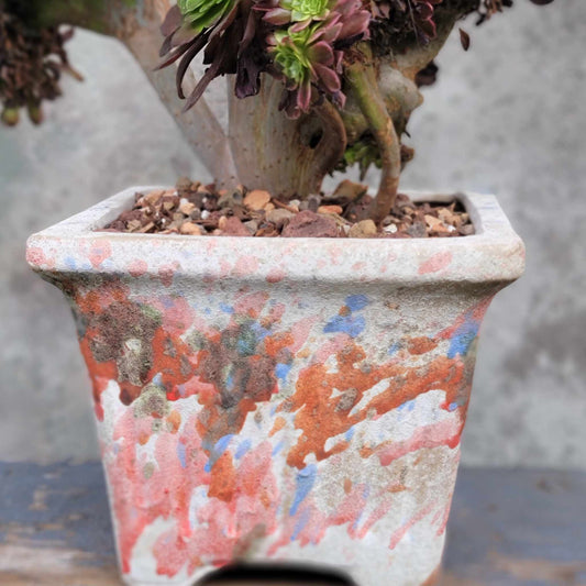 Terra Cotta Planter - Watercolor Series - Rose