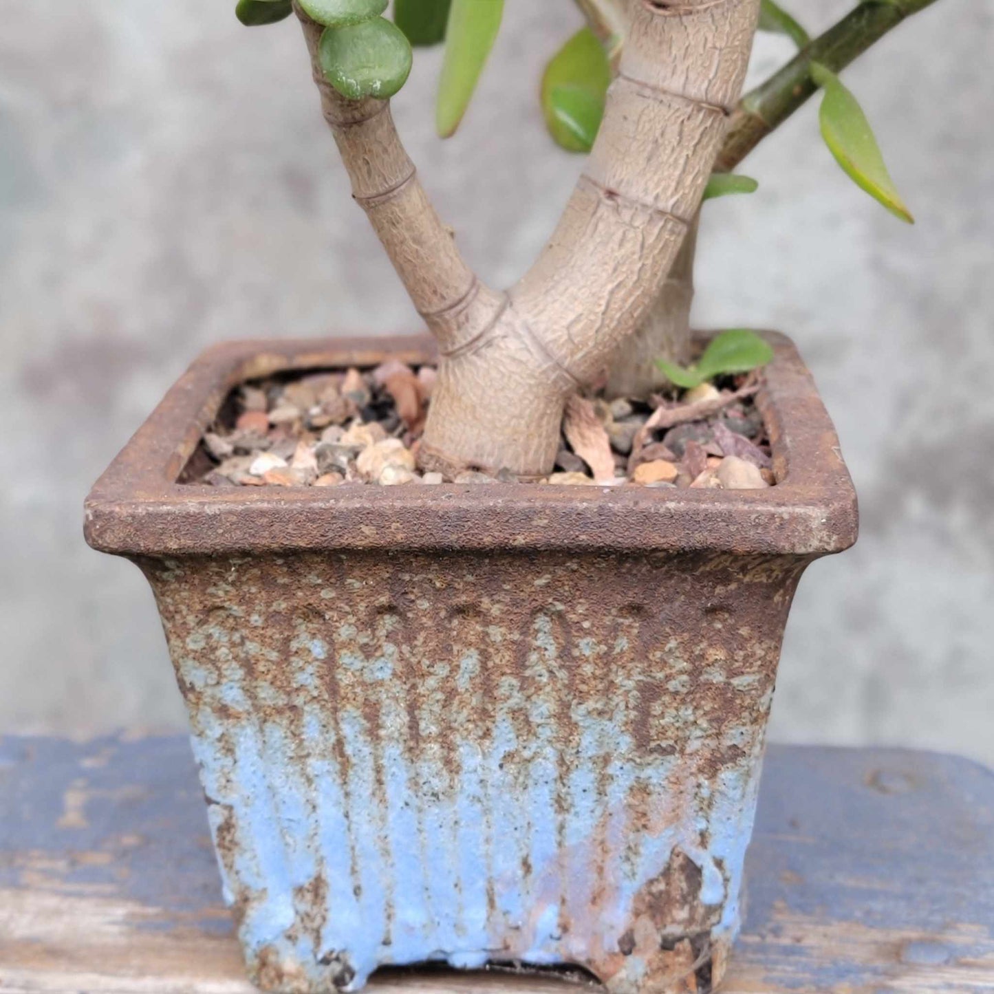 Terra Cotta Planter - Watercolor Series - Sky