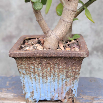 Terra Cotta Planter - Watercolor Series - Sky