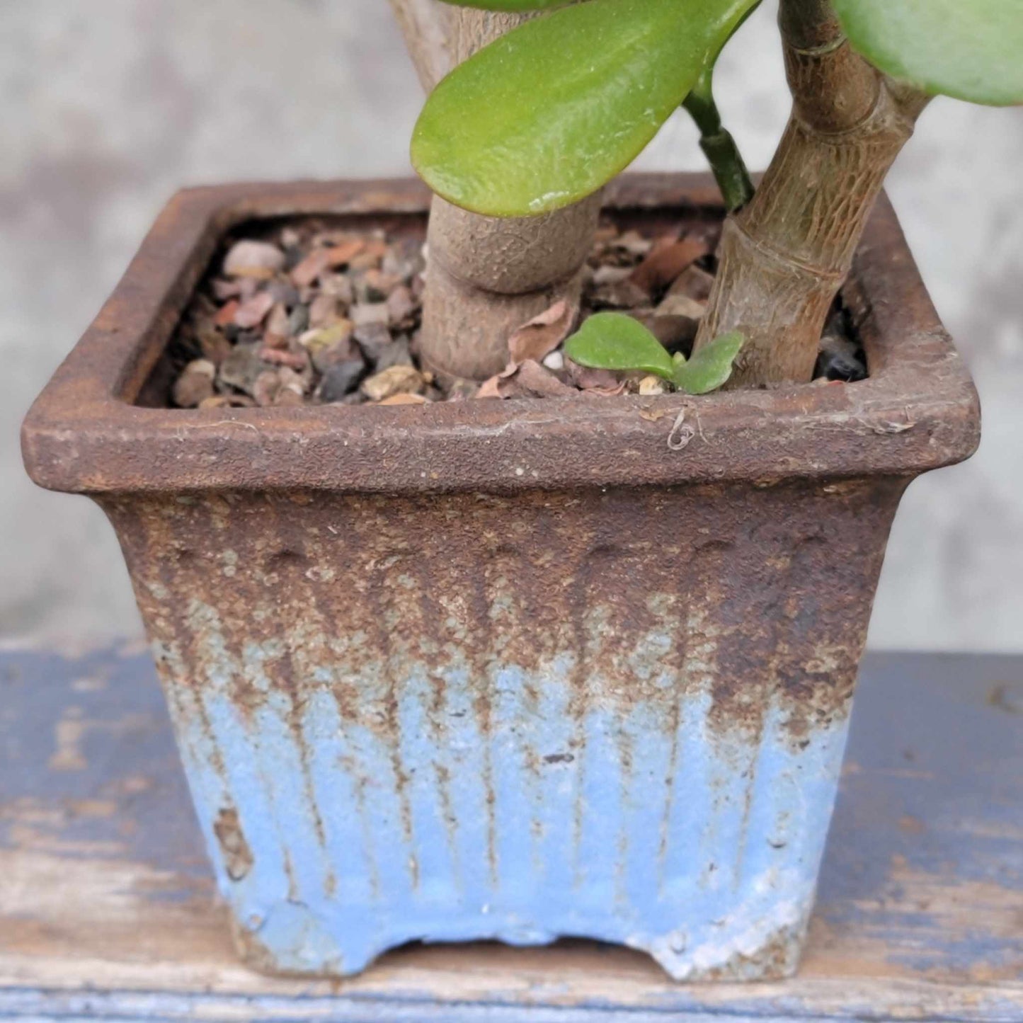 Terra Cotta Planter - Watercolor Series - Sky