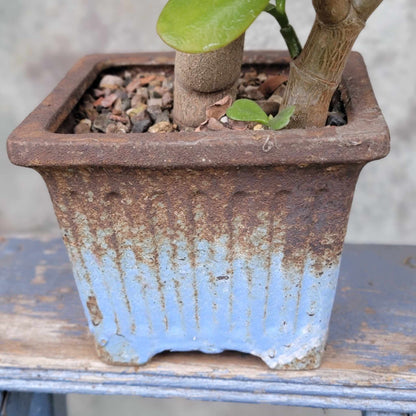 Terra Cotta Planter - Watercolor Series - Sky