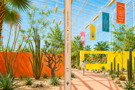 Collector Sketchbook No. 01 - The Glasshouse Garden
