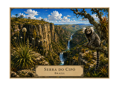 Botanical Expedition Series Volume IV:  MOUNTAINS & STONE