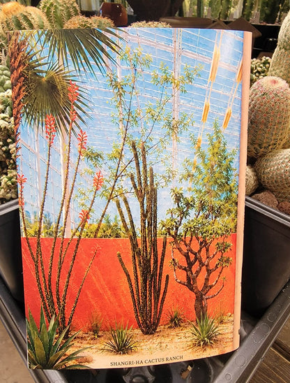 Collector Sketchbook No. 01 - The Glasshouse Garden
